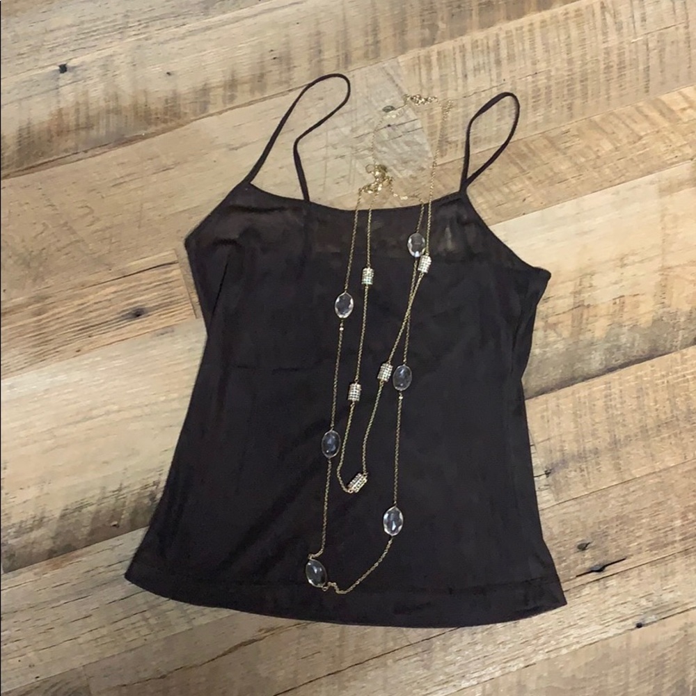 Sheer brown camisole (s)
